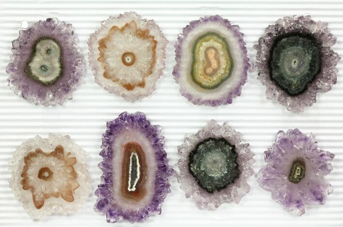 Lot: to Amethyst Stalactite Slices ( Pieces) #76646